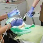 一般歯科